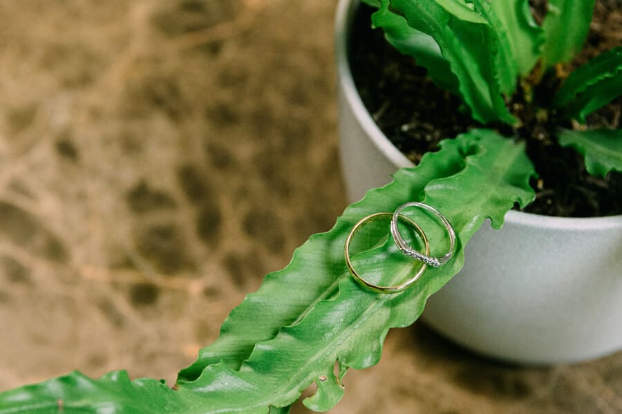 Descripción de la imagen 7